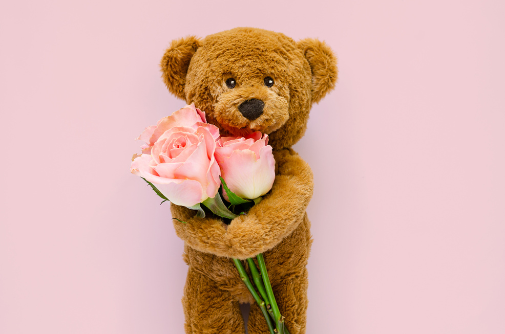 Teddy Bear Holding Pink Roses 